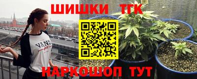 мяу мяу мука Тулун