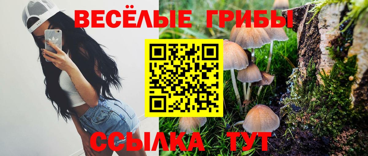 Псилоцибиновые грибы Cubensis  Вход с VPN  Новошахтинск  Псилоцибиновые грибы MAGIC MUSHROOMS 
